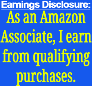 Amazon Earnings Disclosure