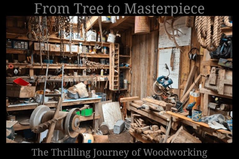 From Tree to Masterpiece The Thrilling Journey of Woodworking